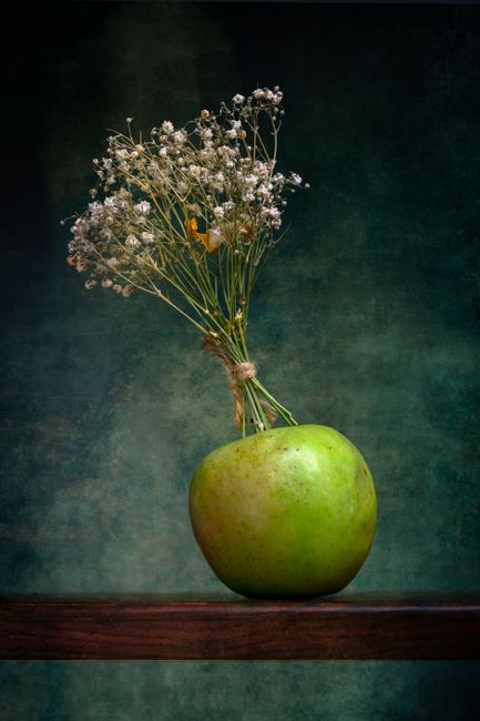 Compose A Photo For Stunning Results