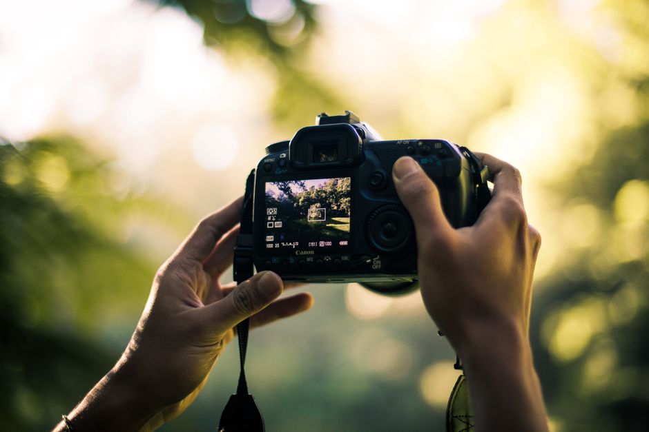 the business of photography