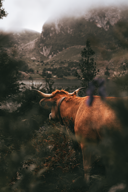 Detail Background Sunset Untuk Desain Poster Number 14