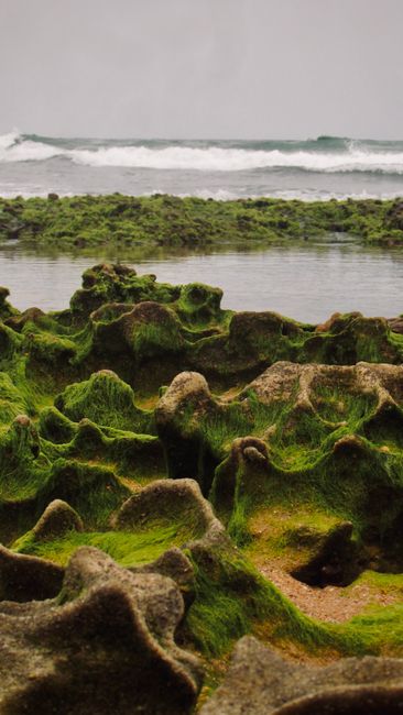 Detail Gambar Pantai Dan Batu Karang Number 14