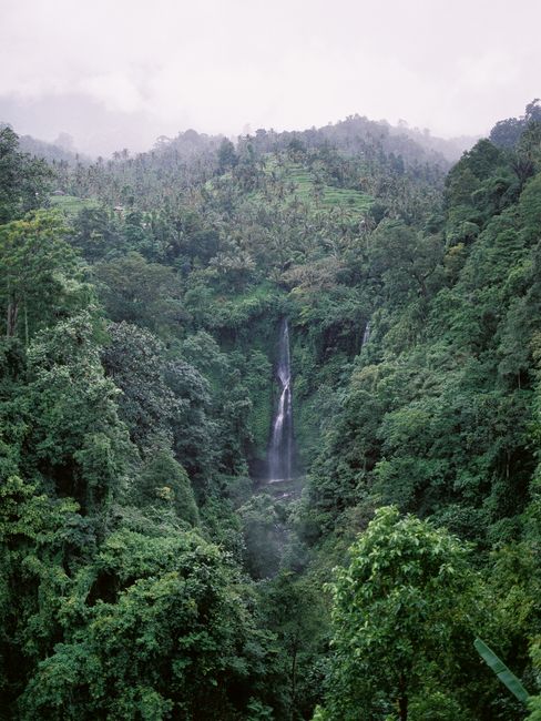 Detail Foto Air Terjun Dengan Hutan Tropis Number 18