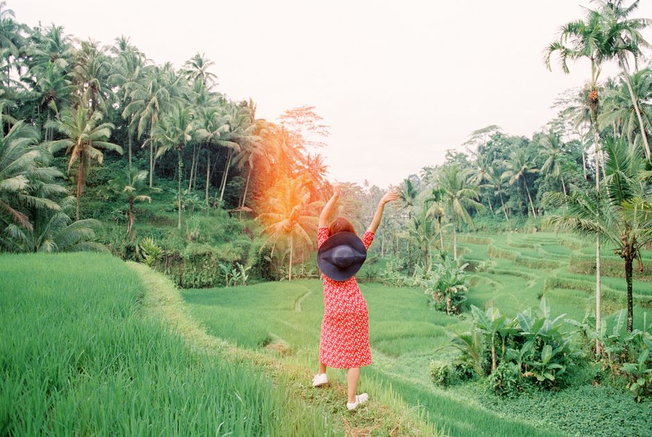 Detail Foto Sawah Hijau Di Bali Number 16