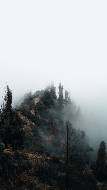 Detail Wallpaper Alam Berkabut 4k Number 2