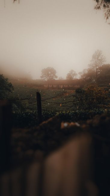 Detail Wallpaper Alam Berkabut 4k Number 14
