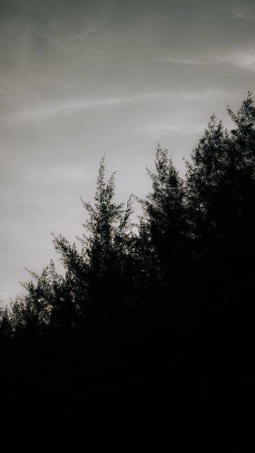 Detail Gambar Alam Aesthetic Untuk Wallpaper Number 18