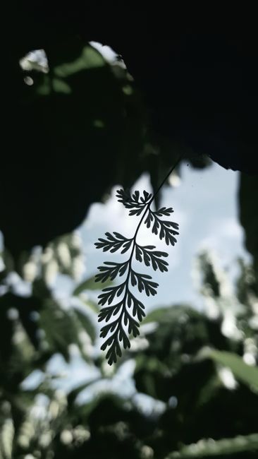 Detail Gambar Alam Aesthetic Untuk Wallpaper Number 7