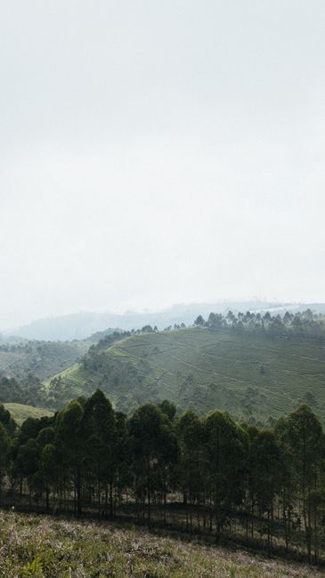 Detail Gambar Landscape Taman Nasional Number 8