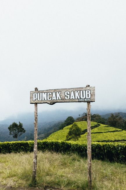 Detail Foto Pemandangan Puncak Bogor Number 4
