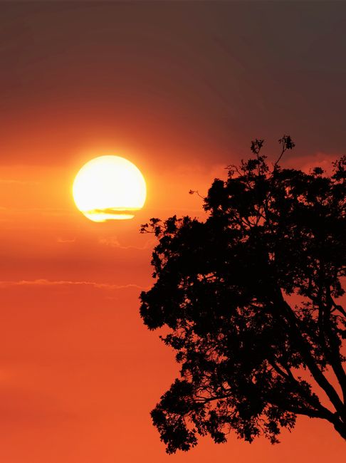 Detail Background Sunset Untuk Desain Poster Number 6