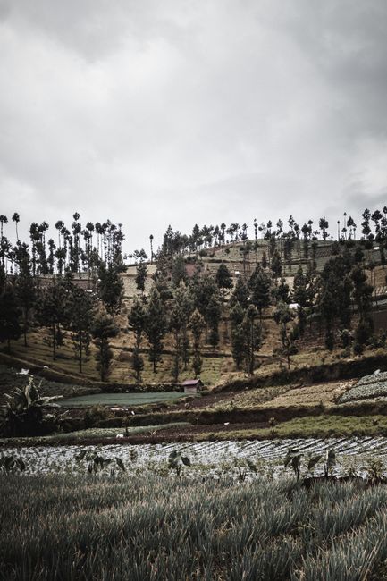 Detail Foto Lanskap Indonesia Untuk Editorial Number 14