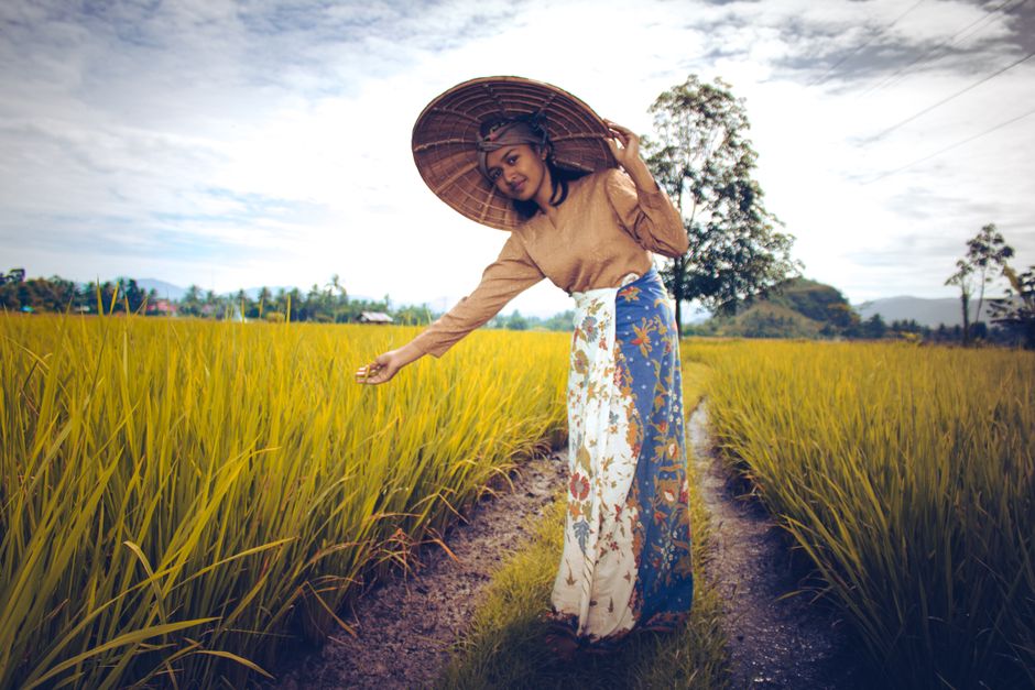 Detail Gambar Sawah Vector Indonesia Number 16