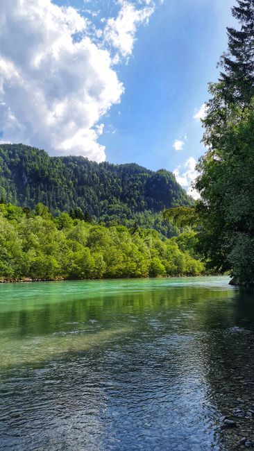 Detail Wallpaper Sungai Dan Hutan 4k Number 19
