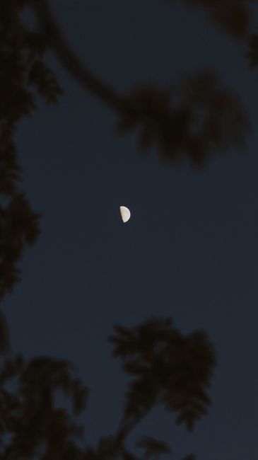 Detail Foto Langit Malam Dengan Bulan Number 8