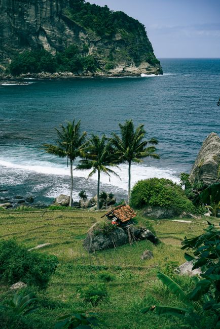 Detail Gambar Laut Tropis Yang Indah Number 18