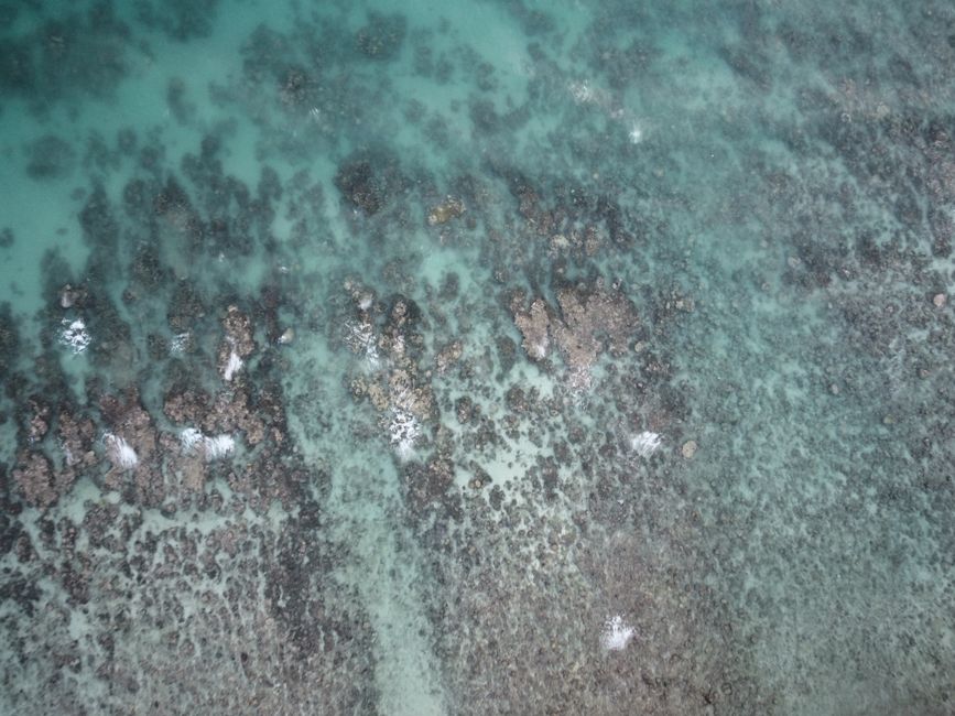 Detail Foto Karang Laut Dari Atas Number 9