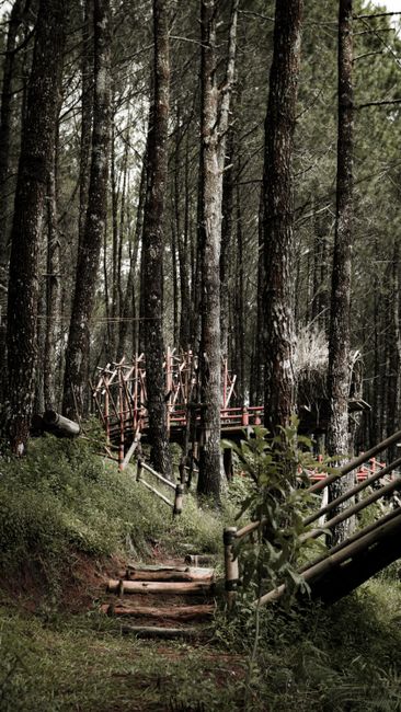 Detail Gambar Landscape Taman Nasional Number 14