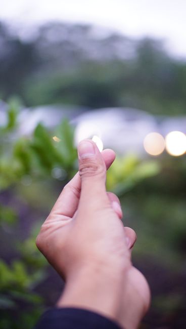 Detail Foto Pemandangan Dengan Efek Bokeh Number 3