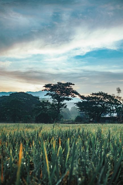 Detail Gambar Nature Untuk Background Zoom Number 19