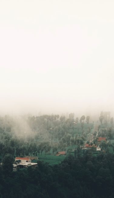 Detail Wallpaper Alam Berkabut 4k Number 5
