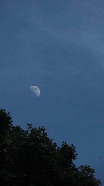 Detail Foto Langit Malam Dengan Bulan Number 13