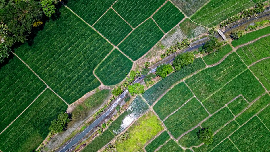 Detail Wallpaper Sawah Untuk Layar Hp Number 16
