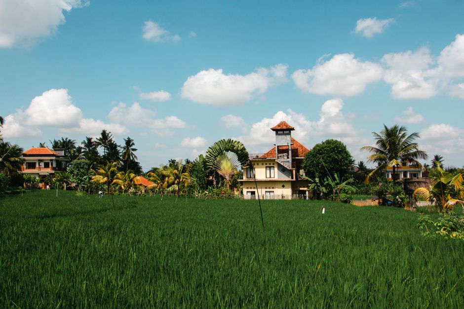 Detail Foto Sawah Hijau Di Bali Number 10