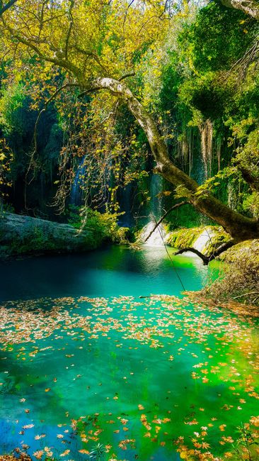 Detail Wallpaper Pemandangan Alam Hd Untuk Hp Number 9