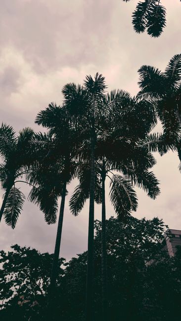 Detail Gambar Alam Aesthetic Untuk Wallpaper Number 19