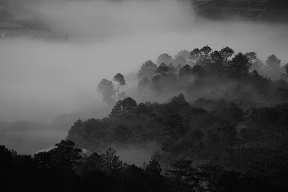Detail Wallpaper Hutan Hd Untuk Desktop Number 18