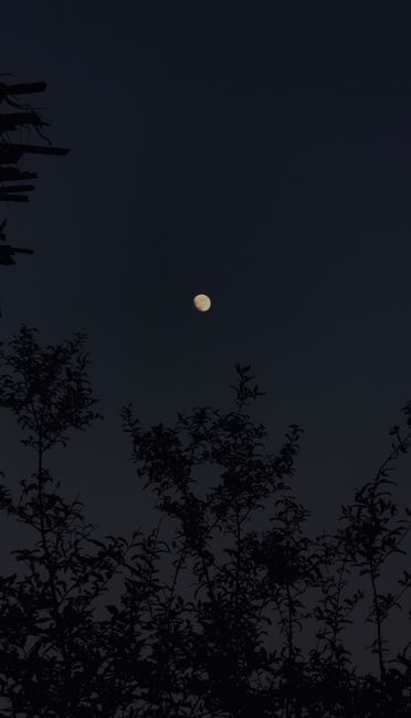 Detail Foto Langit Malam Dengan Bulan Number 12