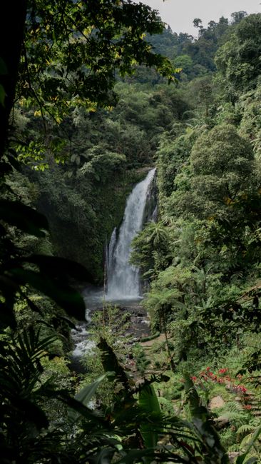 Detail Foto Air Terjun Dengan Hutan Tropis Number 15