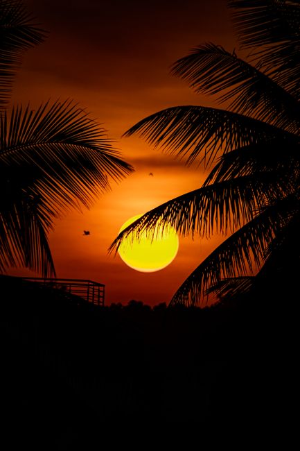 Detail Background Sunset Untuk Desain Poster Number 19