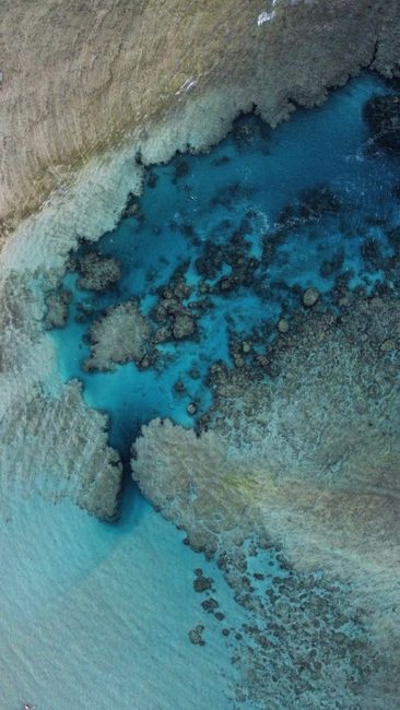 Detail Foto Karang Laut Dari Atas Number 6