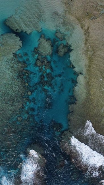 Detail Foto Karang Laut Dari Atas Number 3
