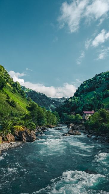 Detail Wallpaper Sungai Dan Hutan 4k Number 18