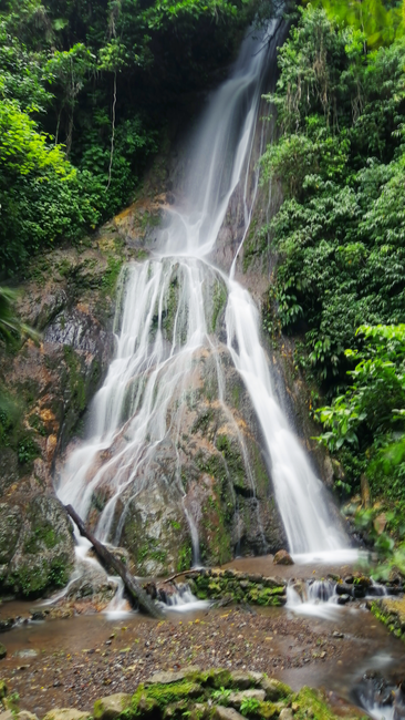 Detail Foto Air Terjun Dengan Hutan Tropis Number 14