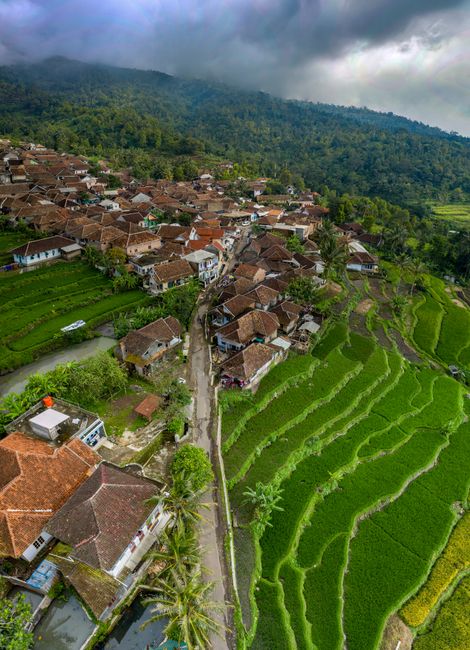 Foto Desa Hijau Berkelanjutan 6948