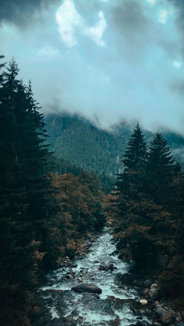 Detail Wallpaper Sungai Dan Hutan 4k Number 20