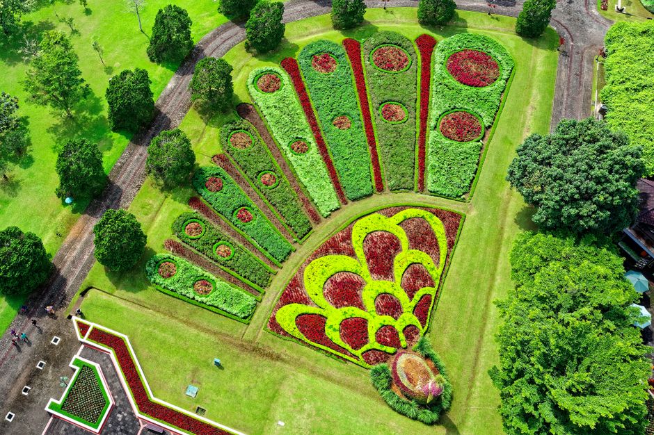 Detail Gambar Taman Bunga Dari Atas Number 4