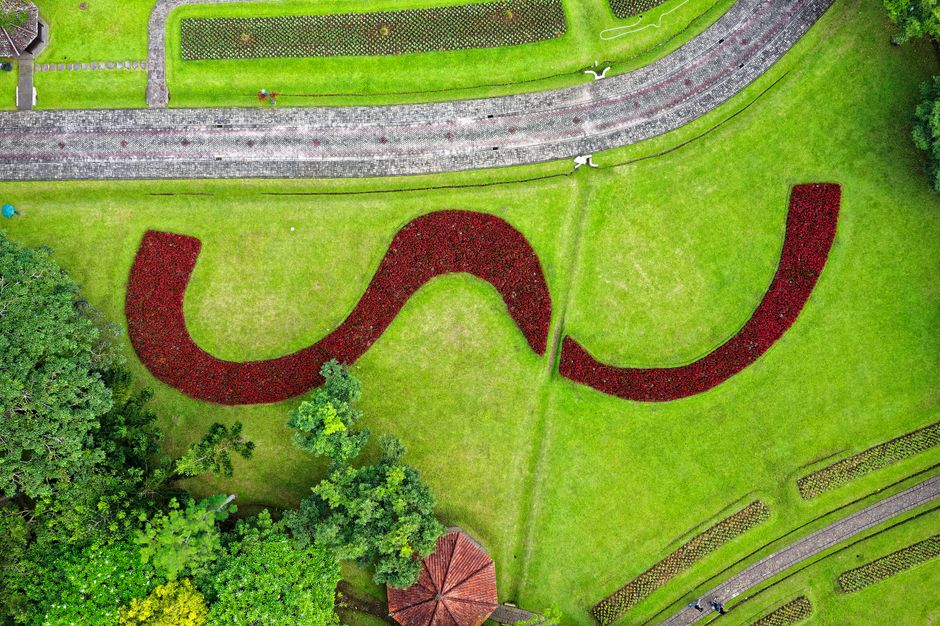 Detail Gambar Taman Bunga Dari Atas Number 8