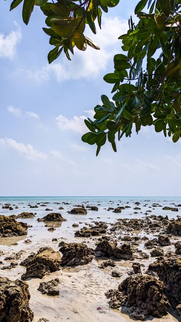 Detail Gambar Pantai Dan Batu Karang Number 17