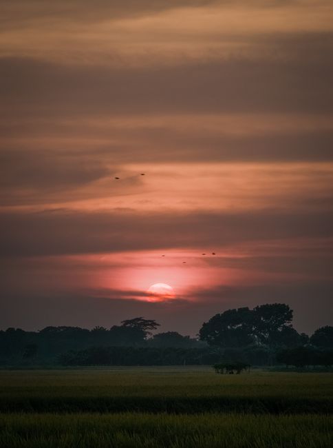 Detail Foto Sunset Landscape Resolusi Tinggi Number 19