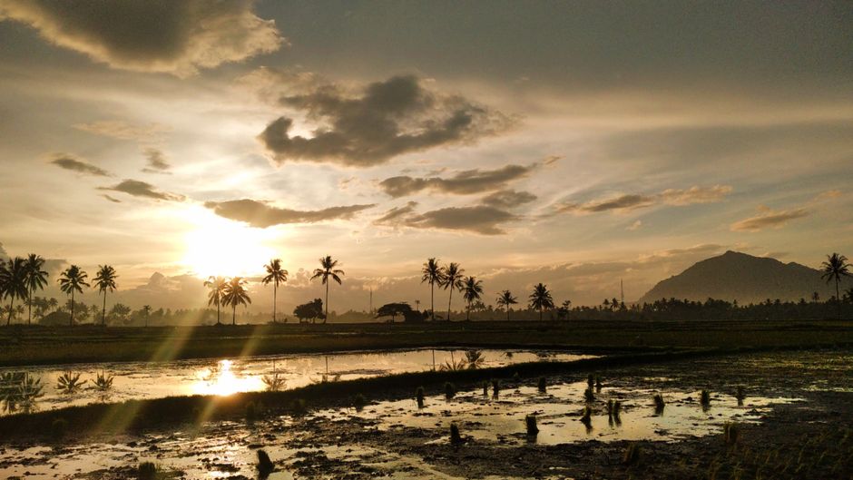 Detail Gambar Landscape Golden Hour Number 5