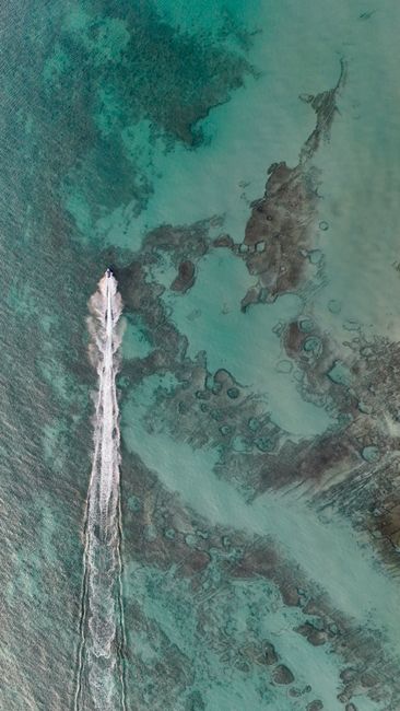 Detail Foto Karang Laut Dari Atas Number 19