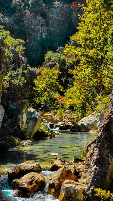 Detail Wallpaper Sungai Dan Hutan 4k Number 14