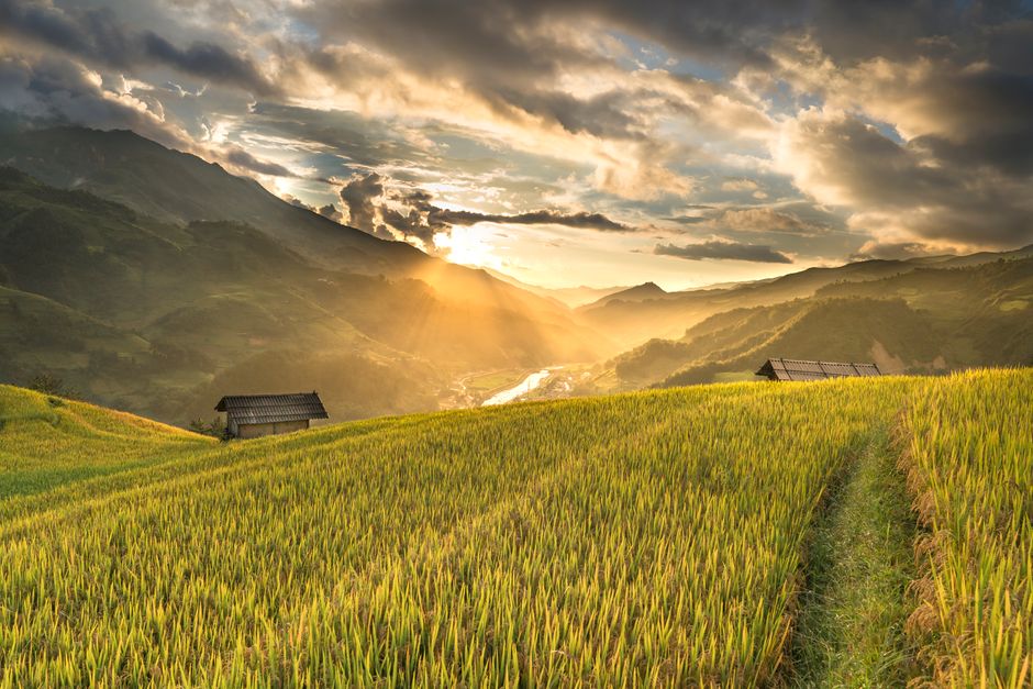 Detail Gambar Sawah Saat Matahari Terbit Number 18