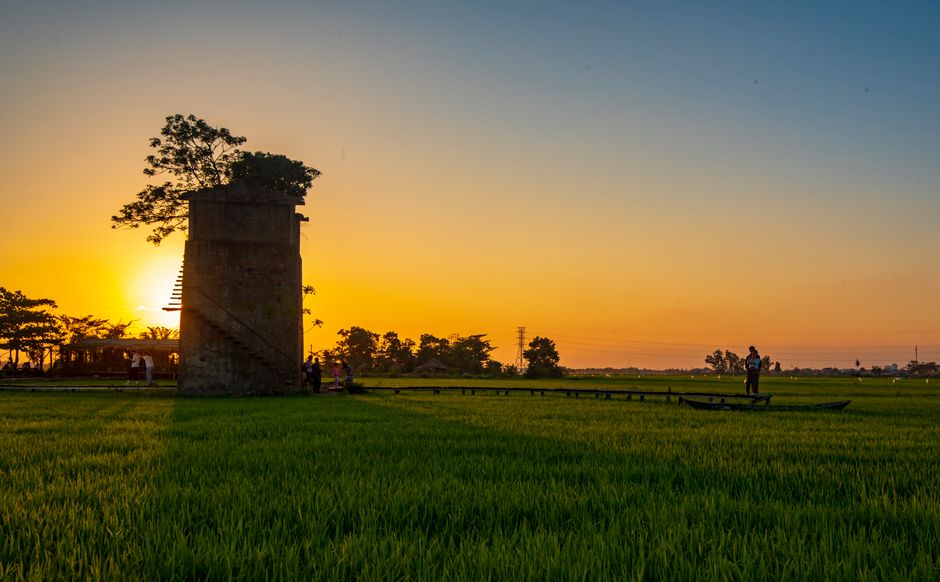 Detail Gambar Sawah Saat Matahari Terbit Number 17
