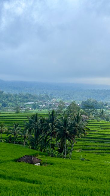 Detail Gambar Lanskap Pertanian Indonesia Number 15
