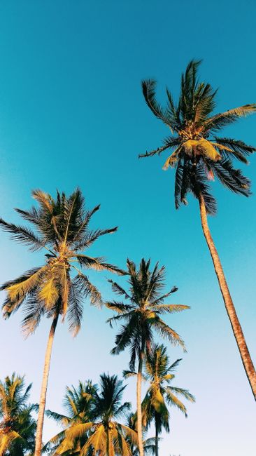 Detail Foto Pantai Tropis Yang Estetik Number 17