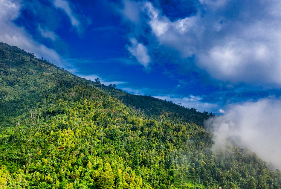 Detail Gambar Gunung Tertinggi Di Indonesia Number 16